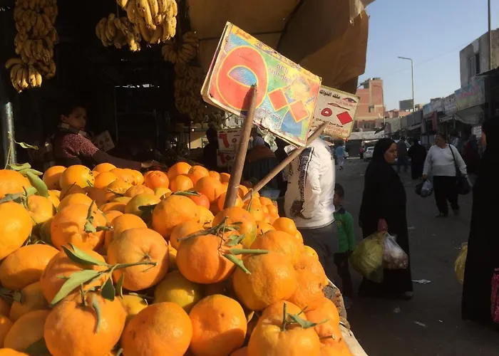Diamond Arabia Orange